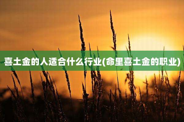 喜土金的人适合什么行业(命里喜土金的职业)