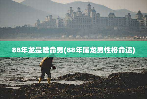 88年龙是啥命男(88年属龙男性格命运)