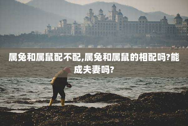 属兔和属鼠配不配,属兔和属鼠的相配吗?能成夫妻吗?