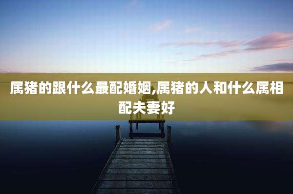 属猪的跟什么最配婚姻,属猪的人和什么属相配夫妻好