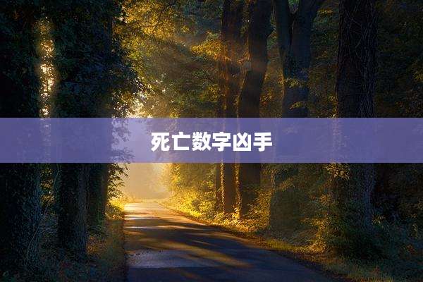 死亡数字凶手