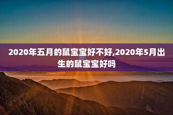 2020年五月的鼠宝宝好不好,2020年5月出生的鼠宝宝好吗