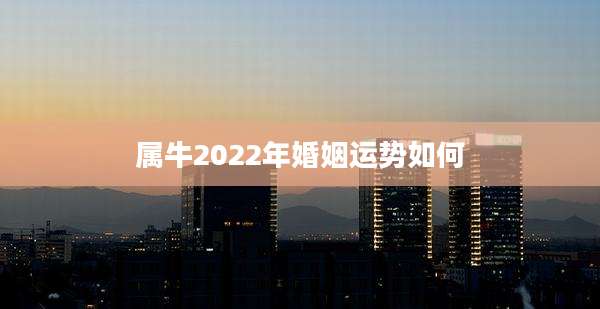 属牛2022年婚姻运势如何