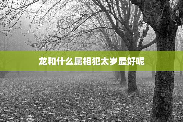 龙和什么属相犯太岁最好呢