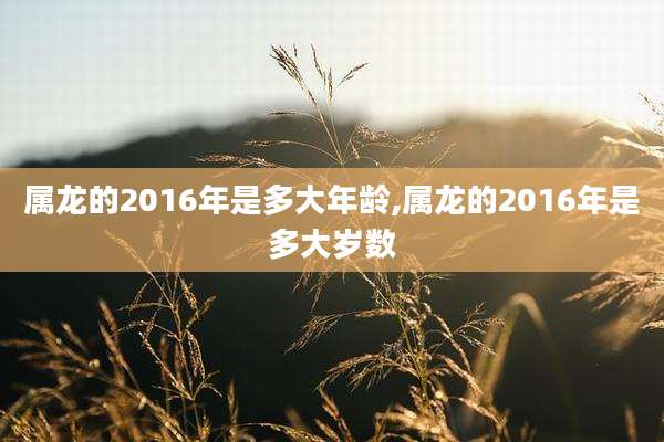 属龙的2016年是多大年龄,属龙的2016年是多大岁数
