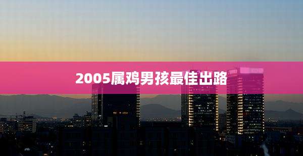 2005属鸡男孩最佳出路