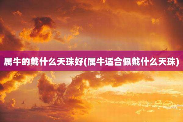 属牛的戴什么天珠好(属牛适合佩戴什么天珠)