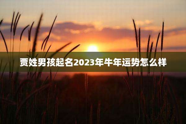 贾姓男孩起名2023年牛年运势怎么样