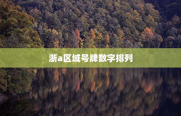 浙a区域号牌数字排列