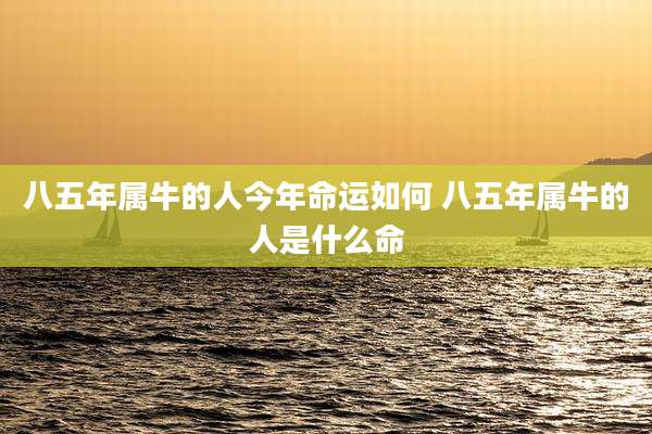 八五年属牛的人今年命运如何 八五年属牛的人是什么命