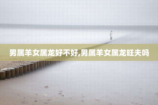 男属羊女属龙好不好,男属羊女属龙旺夫吗