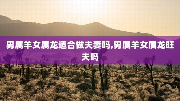 男属羊女属龙适合做夫妻吗,男属羊女属龙旺夫吗