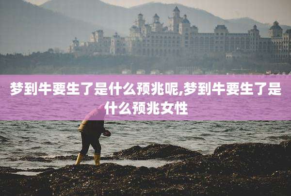 梦到牛要生了是什么预兆呢,梦到牛要生了是什么预兆女性