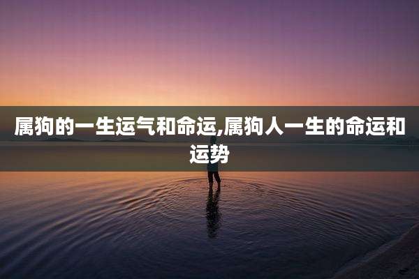 属狗的一生运气和命运,属狗人一生的命运和运势