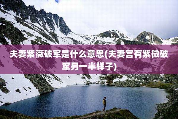 夫妻紫薇破军是什么意思(夫妻宫有紫微破军另一半样子)