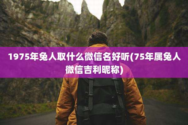 1975年兔人取什么微信名好听(75年属兔人微信吉利昵称)
