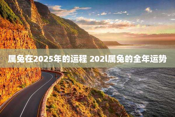 属兔在2025年的运程 202l属兔的全年运势
