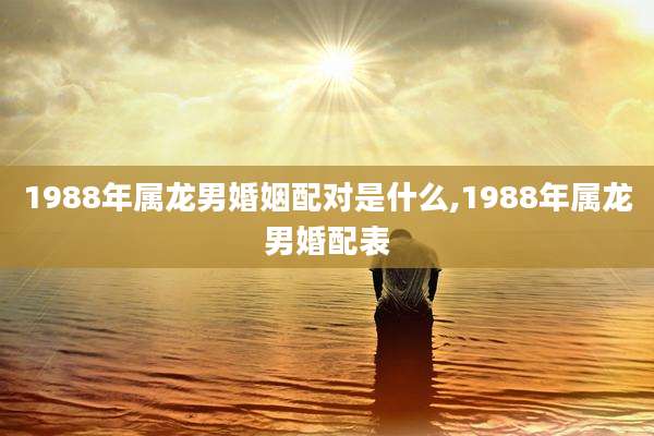 1988年属龙男婚姻配对是什么,1988年属龙男婚配表