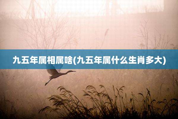 九五年属相属啥(九五年属什么生肖多大)