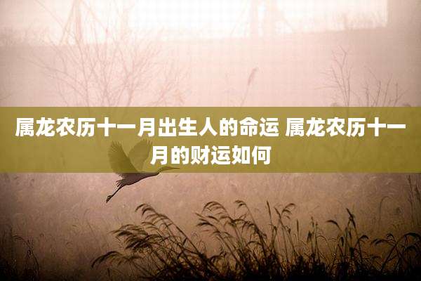 属龙农历十一月出生人的命运 属龙农历十一月的财运如何