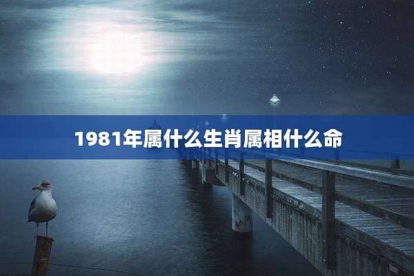 1981年属什么生肖属相什么命