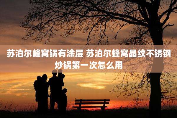 苏泊尔峰窝锅有涂层 苏泊尔蜂窝晶纹不锈钢炒锅第一次怎么用