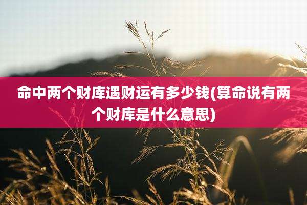 命中两个财库遇财运有多少钱(算命说有两个财库是什么意思)