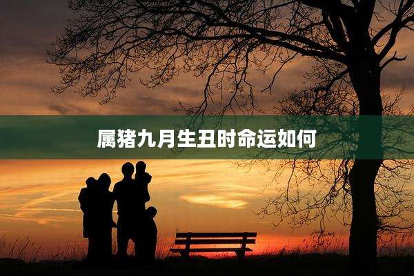 属猪九月生丑时命运如何