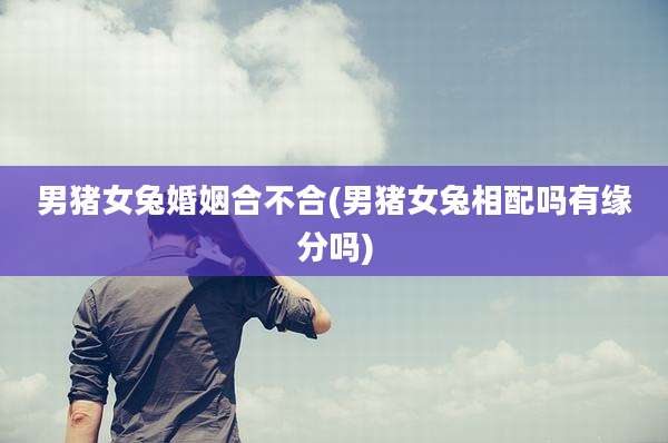 男猪女兔婚姻合不合(男猪女兔相配吗有缘分吗)
