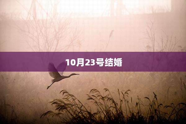10月23号结婚