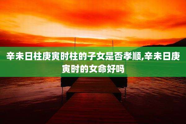 辛未日柱庚寅时柱的子女是否孝顺,辛未日庚寅时的女命好吗