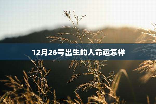 12月26号出生的人命运怎样