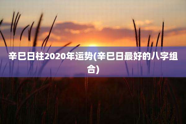 辛巳日柱2020年运势(辛巳日最好的八字组合)