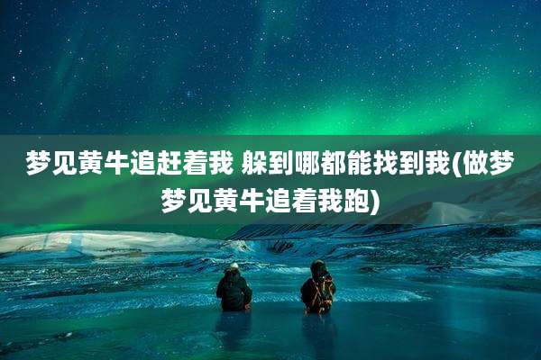梦见黄牛追赶着我 躲到哪都能找到我(做梦梦见黄牛追着我跑)