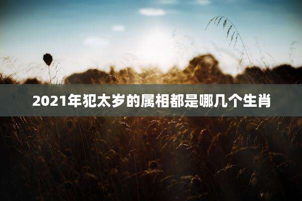 2021年犯太岁的属相都是哪几个生肖