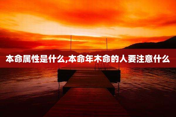 本命属性是什么,本命年木命的人要注意什么