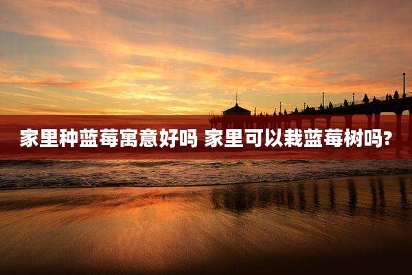 家里种蓝莓寓意好吗 家里可以栽蓝莓树吗?