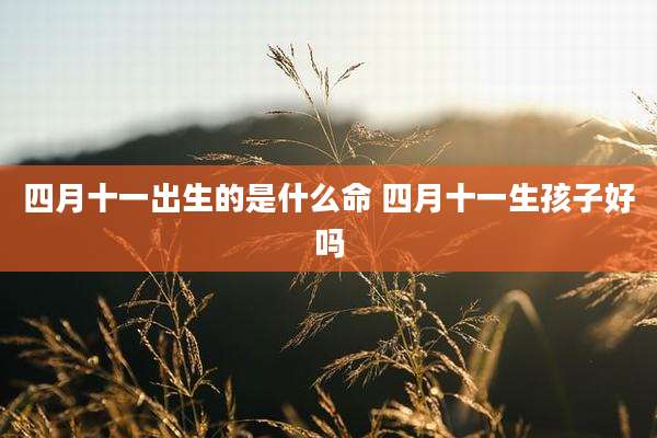 四月十一出生的是什么命 四月十一生孩子好吗