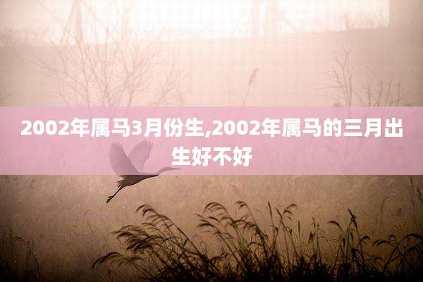 2002年属马3月份生,2002年属马的三月出生好不好