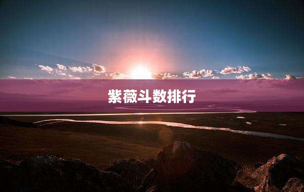 紫薇斗数排行