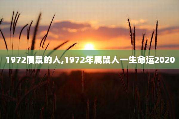 1972属鼠的人,1972年属鼠人一生命运2020