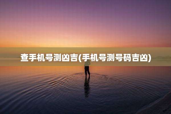 查手机号测凶吉(手机号测号码吉凶)