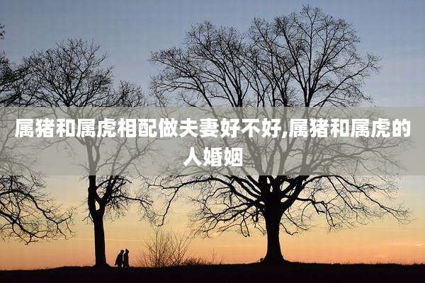 属猪和属虎相配做夫妻好不好,属猪和属虎的人婚姻