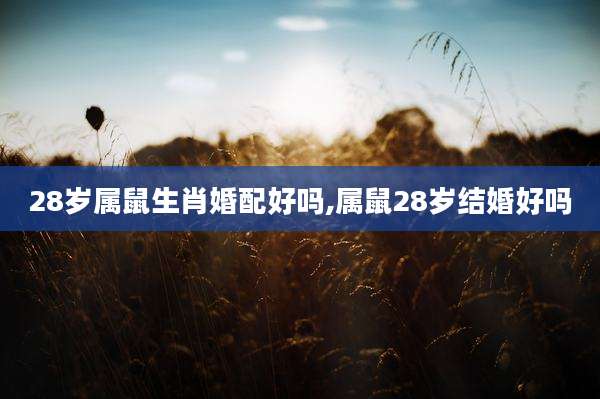 28岁属鼠生肖婚配好吗,属鼠28岁结婚好吗
