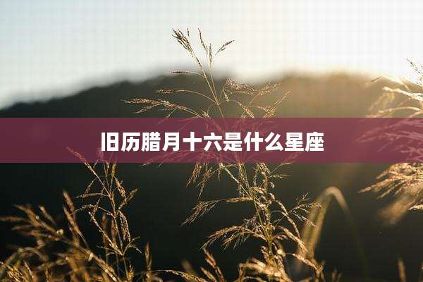 旧历腊月十六是什么星座