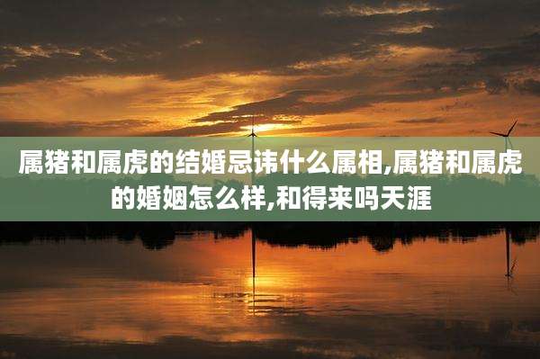 属猪和属虎的结婚忌讳什么属相,属猪和属虎的婚姻怎么样,和得来吗天涯