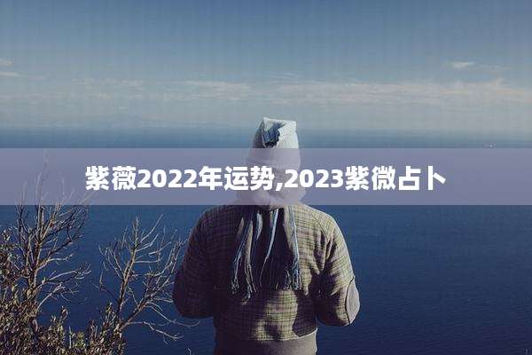 紫薇2022年运势,2023紫微占卜