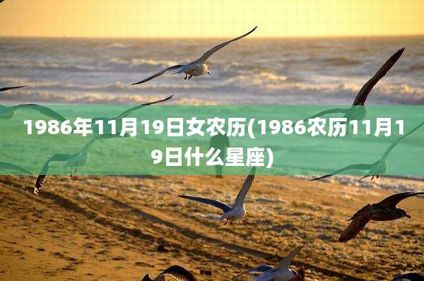 1986年11月19日女农历(1986农历11月19日什么星座)