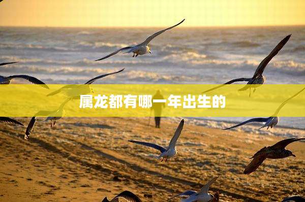 属龙都有哪一年出生的