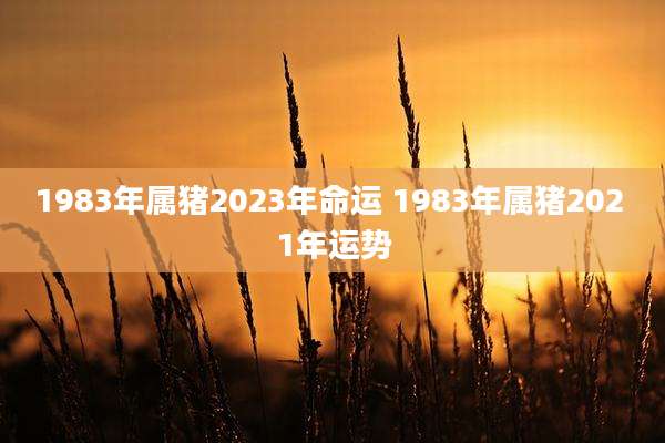 1983年属猪2023年命运 1983年属猪202 1年运势